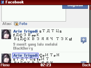 status facebook dengan action links, status facebook bergambar, status